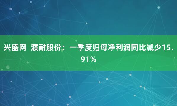 兴盛网  濮耐股份：一季度归母净利润同比减少15.91%