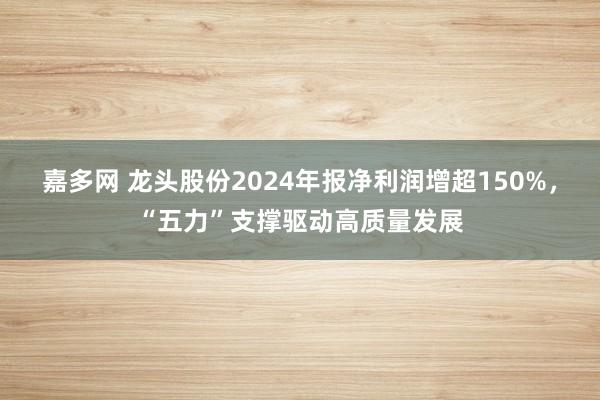嘉多网 龙头股份2024年报净利润增超150%，“五力”支撑驱动高质量发展