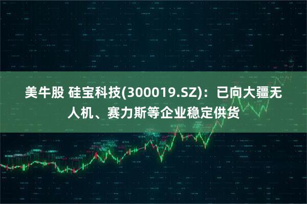 美牛股 硅宝科技(300019.SZ)：已向大疆无人机、赛力斯等企业稳定供货