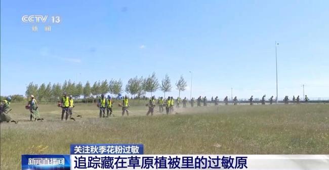 北方进入秋季花粉高峰期 过敏性鼻炎高发