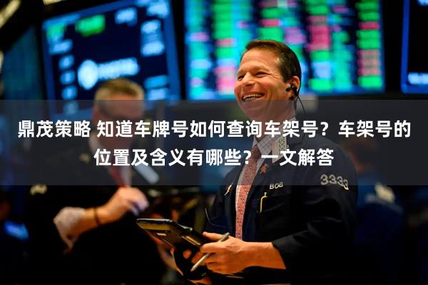 鼎茂策略 知道车牌号如何查询车架号？车架号的位置及含义有哪些？一文解答